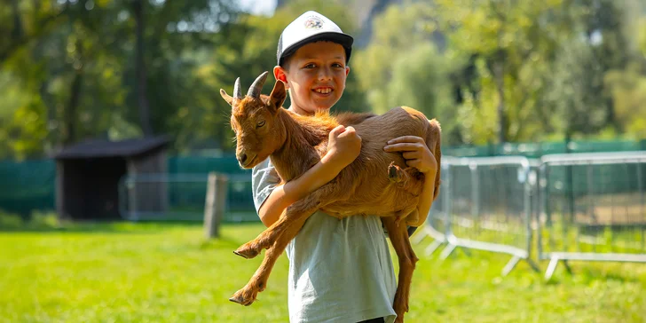 Vstupenky do Sokoliarne a mini zoo Devín pre malých aj veľkých a workshop Dotkni sa dravcov