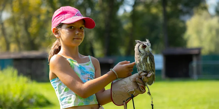 Vstupenky do Sokoliarne a mini zoo Devín pre malých aj veľkých a workshop Dotkni sa dravcov