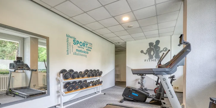 Štvorhviezdičkový hotel v Soproni s raňajkami, wellness, vstupmi na kúpaliská a zľavami na atrakcie