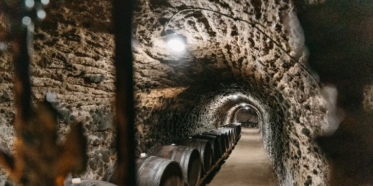 Vinohradnícky unikát na Tokaji: Jedinečné ubytovanie v Chateau GRAND BARI s raňajkami