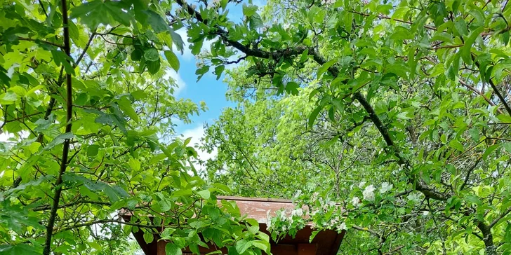 Netradičné ubytovanie v Jurte pod Hviezdami