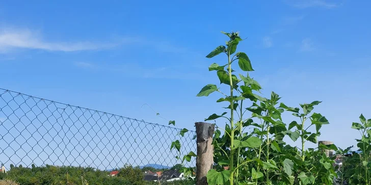 Netradičné ubytovanie v Jurte pod Hviezdami