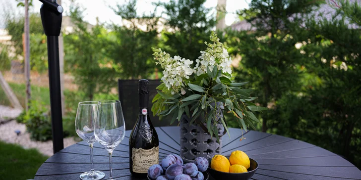 Apartmánový domček so saunou a vírivkou v Šoporni