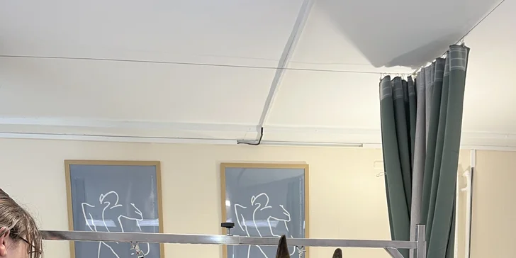 Wellness s ozónoterapiou, hydromasážou a kompletnou starostlivosťou o srsť psíka