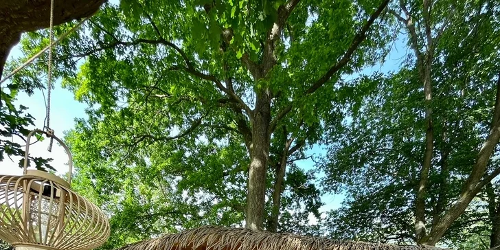 Pobyt s raňajkami až pre 4 osoby v plne vybavenom treehouse na juhu Čiech: žiadne Wi-Fi, len božský pokoj a sauna