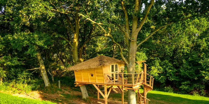 Pobyt s raňajkami až pre 4 osoby v plne vybavenom treehouse na juhu Čiech: žiadne Wi-Fi, len božský pokoj a sauna