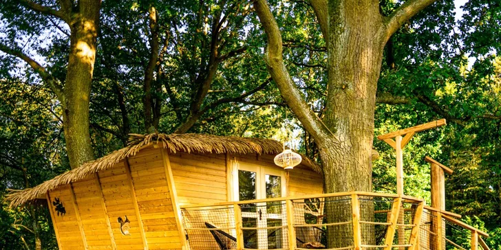 Pobyt s raňajkami až pre 4 osoby v plne vybavenom treehouse na juhu Čiech: žiadne Wi-Fi, len božský pokoj a sauna
