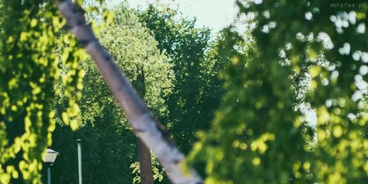 Glamping pri jazere Jamno a pri Balte: bez jedla alebo s raňajkami, množstvo aktivít aj domčeky s vlastným wellness