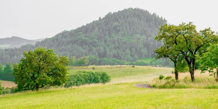 Romantika aj dobrodružstvo: domček v korunách stromov a raňajky, 4 km od Ještědu a 10 km autom od Liberca