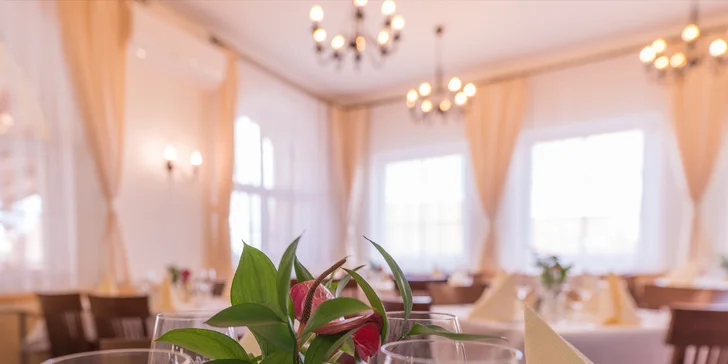 Relax medzi vinicami: wellness pobyt v Pavlove priamo pod Děvičkami, raňajky alebo polpenzia