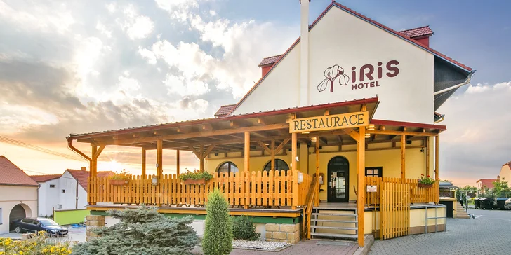 Relax medzi vinicami: wellness pobyt v Pavlove priamo pod Děvičkami, raňajky alebo polpenzia