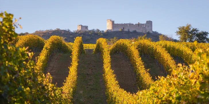 Relax medzi vinicami: wellness pobyt v Pavlove priamo pod Děvičkami, raňajky alebo polpenzia