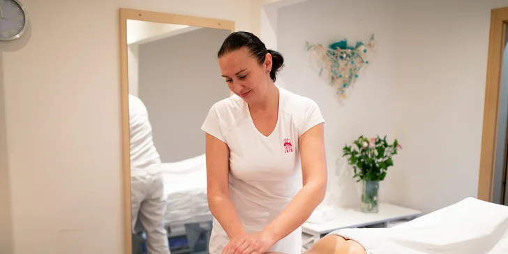 Relax medzi vinicami: wellness pobyt v Pavlove priamo pod Děvičkami, raňajky alebo polpenzia
