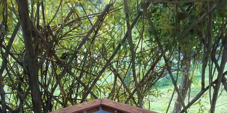 Relax a výlety v Jeseníkoch: pobyt pre dvoch alebo rodinu, raňajky či polpenzia aj wellness