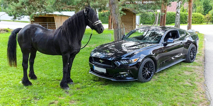 Zážitková jazda na americkej legende Ford Mustang GT 5.0 V8