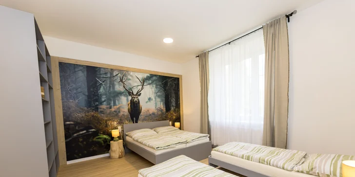 Izba alebo moderný apartmán v Jeseníkoch, s raňajkami alebo polpenziou aj vybavenou kuchynkou