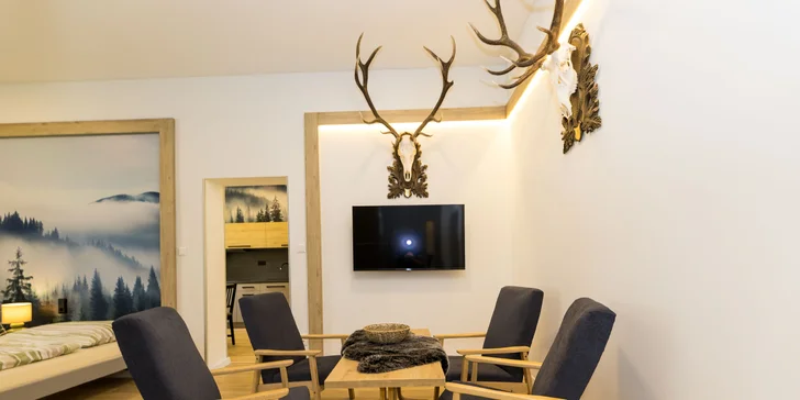 Izba alebo moderný apartmán v Jeseníkoch, s raňajkami alebo polpenziou aj vybavenou kuchynkou
