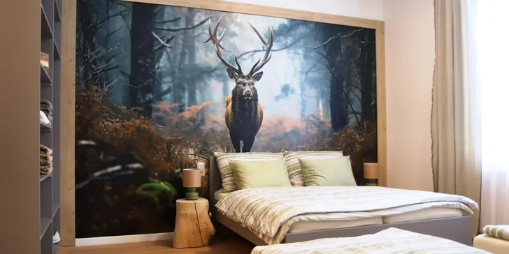 Izba alebo moderný apartmán v Jeseníkoch, s raňajkami alebo polpenziou aj vybavenou kuchynkou
