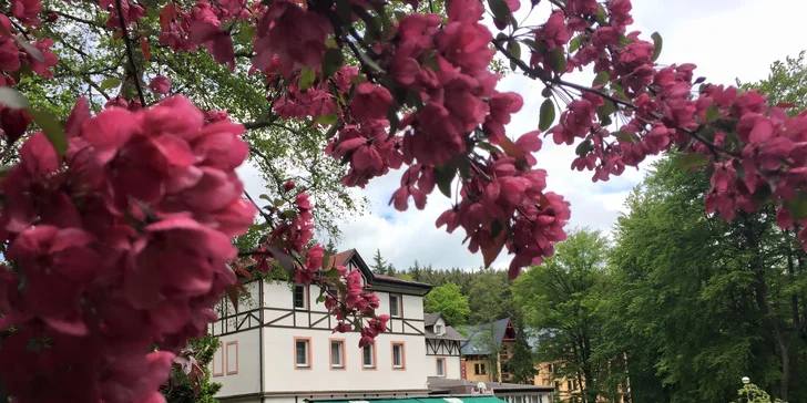Na dovolenku do Mariánok: bufetové raňajky a neobmedzený wellness