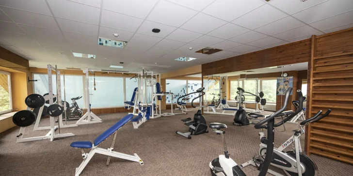 Pobyt v Krkonošiach: polpenzia s nápojmi pri večeri a neobmedzený wellness