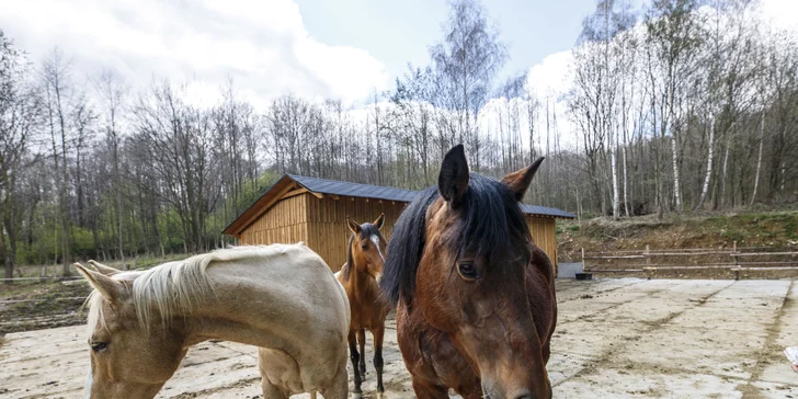 Pobyt na ranči v Jeseníkoch: raňajky, zľava na wellness aj parkovanie zadarmo