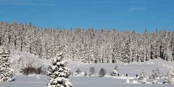 Pobyt v príjemnej chate v srdci Šumavy: polpenzia aj káva a zákusok