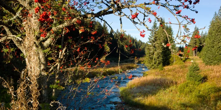 Pobyt v príjemnej chate v srdci Šumavy: polpenzia aj káva a zákusok