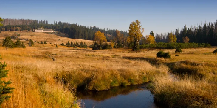 Pobyt v príjemnej chate v srdci Šumavy: polpenzia aj káva a zákusok