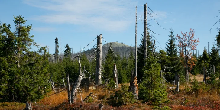 Pobyt v príjemnej chate v srdci Šumavy: polpenzia aj káva a zákusok