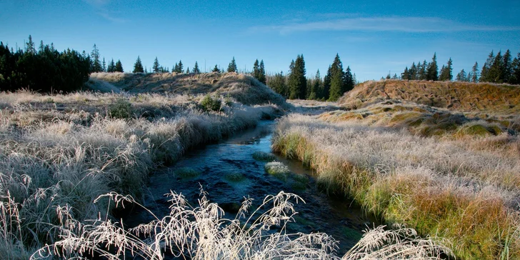 Pobyt v príjemnej chate v srdci Šumavy: polpenzia aj káva a zákusok