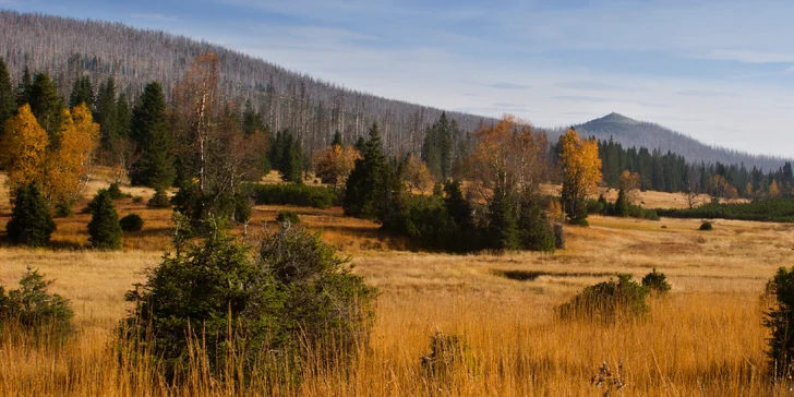 Pobyt v príjemnej chate v srdci Šumavy: polpenzia aj káva a zákusok