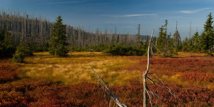 Pobyt v príjemnej chate v srdci Šumavy: polpenzia aj káva a zákusok