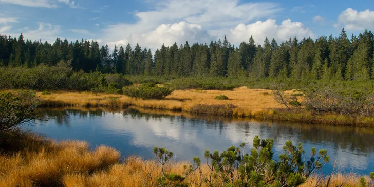 Pobyt v príjemnej chate v srdci Šumavy: polpenzia aj káva a zákusok