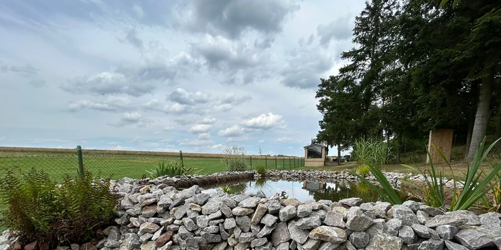Moderný tiny house na Křivoklátsku, 11 km od Lán, možnosť dokúpenia raňajok