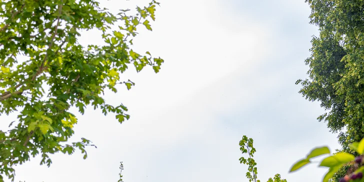 Historická kúria na skok od Slnečných jazier s možnosťou polpenzie a privátneho wellness