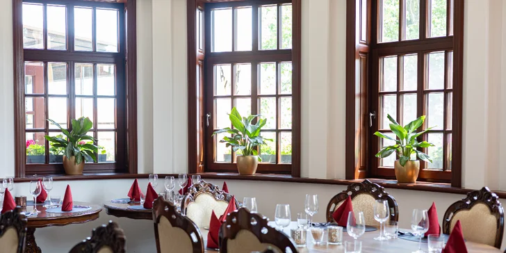 Historická kúria na skok od Slnečných jazier s možnosťou polpenzie a privátneho wellness