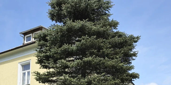 Lužické hory aj mesto Oybin: penzión s raňajkami alebo polpenziou, fľaša sektu na privítanie