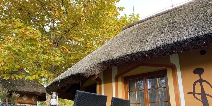 Afrika vo Dvore Kráľovej: bungalov v kempe, raňajky, neobmedzený vstup do safari aj vírivka