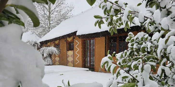 Afrika vo Dvore Kráľovej: bungalov v kempe, raňajky, neobmedzený vstup do safari aj vírivka