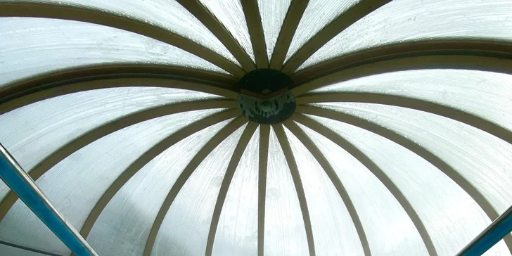 Afrika vo Dvore Kráľovej: bungalov v kempe, raňajky, neobmedzený vstup do safari aj vírivka