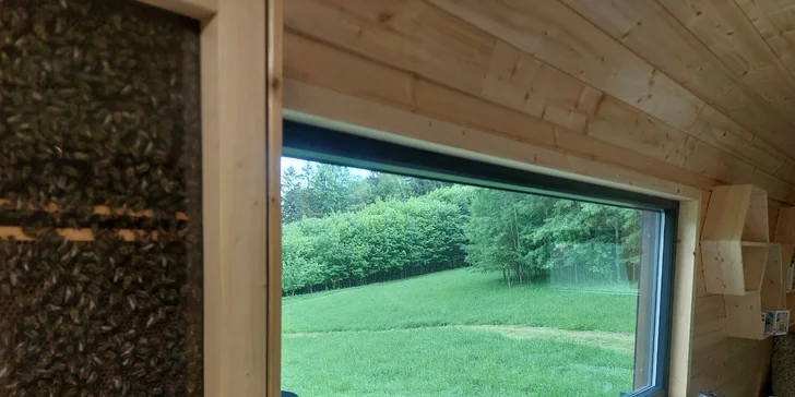 Netradičné ubytovanie v luxusne vybavenom včelíne s apiterapiou: fínska sauna, možnosť rybolovu, minibar