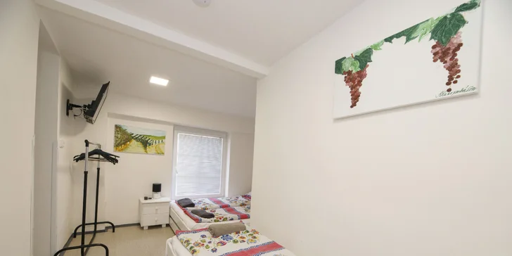 Pobyt na južnej Morave v Zaječí: raňajky, degustácia vo vinnej pivnici a vstup do wellness
