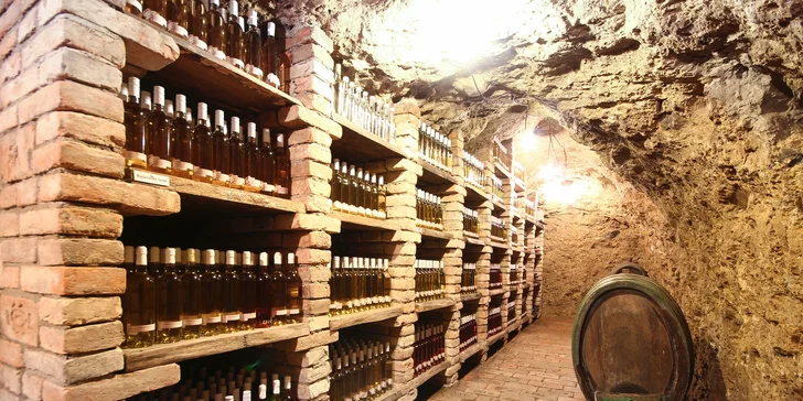 Pobyt na južnej Morave v Zaječí: raňajky, degustácia vo vinnej pivnici a vstup do wellness