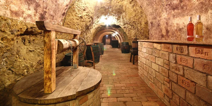 Pobyt na južnej Morave v Zaječí: raňajky, degustácia vo vinnej pivnici a vstup do wellness