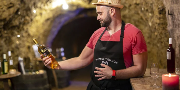 Pobyt na južnej Morave v Zaječí: raňajky, degustácia vo vinnej pivnici a vstup do wellness