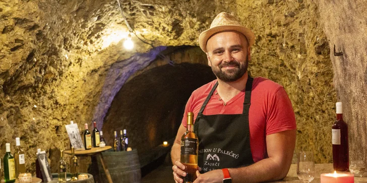 Pobyt na južnej Morave v Zaječí: raňajky, degustácia vo vinnej pivnici a vstup do wellness