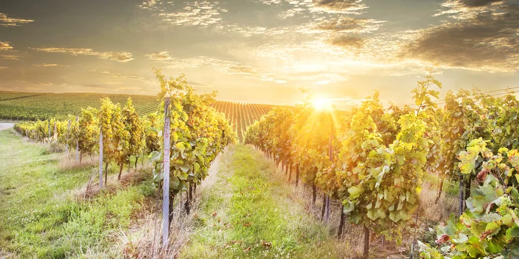 Pobyt na južnej Morave v Zaječí: raňajky, degustácia vo vinnej pivnici a vstup do wellness
