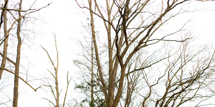 Pobyt vo vybavenej wellness chate s fínskou saunou