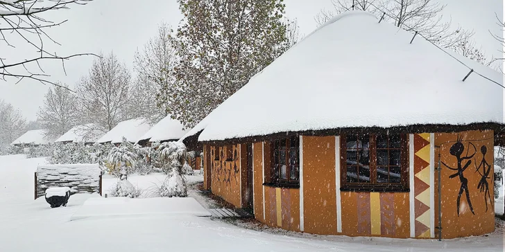 Afrika vo Dvore Kráľovej: bungalov v kempe, raňajky, neobmedzený vstup do safari aj vírivka