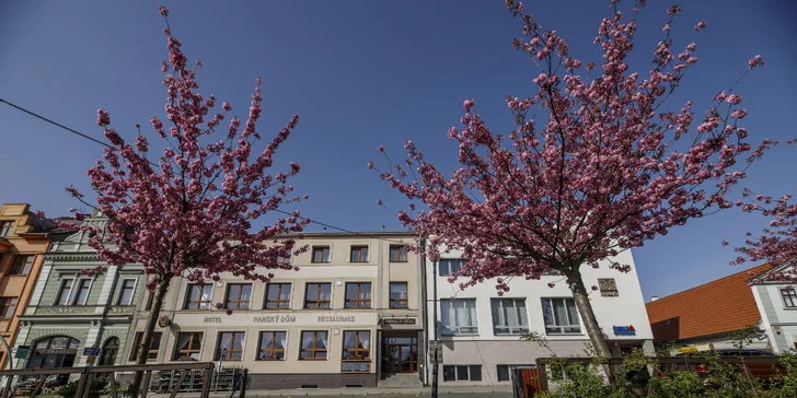 Oddych v Plzensku: novo zrekonštruovaný hotel, polpenzia aj vírivka na izbe